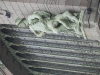 DSCN0070