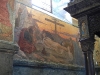 DSCN0172