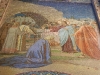 DSCN0183
