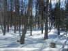 DSCN0578