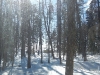 DSCN0581