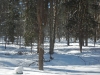 DSCN0582
