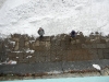 DSCN0601