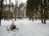 DSCN0603