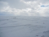 DSCN0605