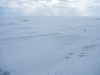 DSCN0607