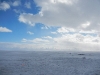 DSCN0697