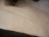 DSCN0906