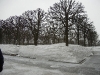 DSCN0928