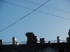 DSCN1035