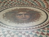DSCN1091