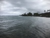 IMG_1478b