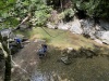 IMG_0667