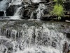 IMG_0947