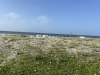 IMG_1215