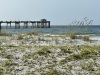 IMG_1216