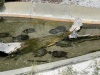 IMG_1255