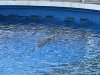 IMG_1262