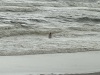 IMG_1360