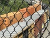 IMG_1580