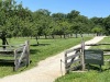 IMG_0999