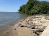 IMG_1016