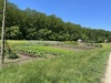 IMG_1019