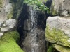 IMG_0504