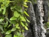 IMG_0510