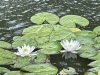 IMG_0517