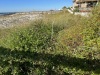 IMG_3232