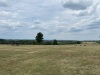 IMG_4767