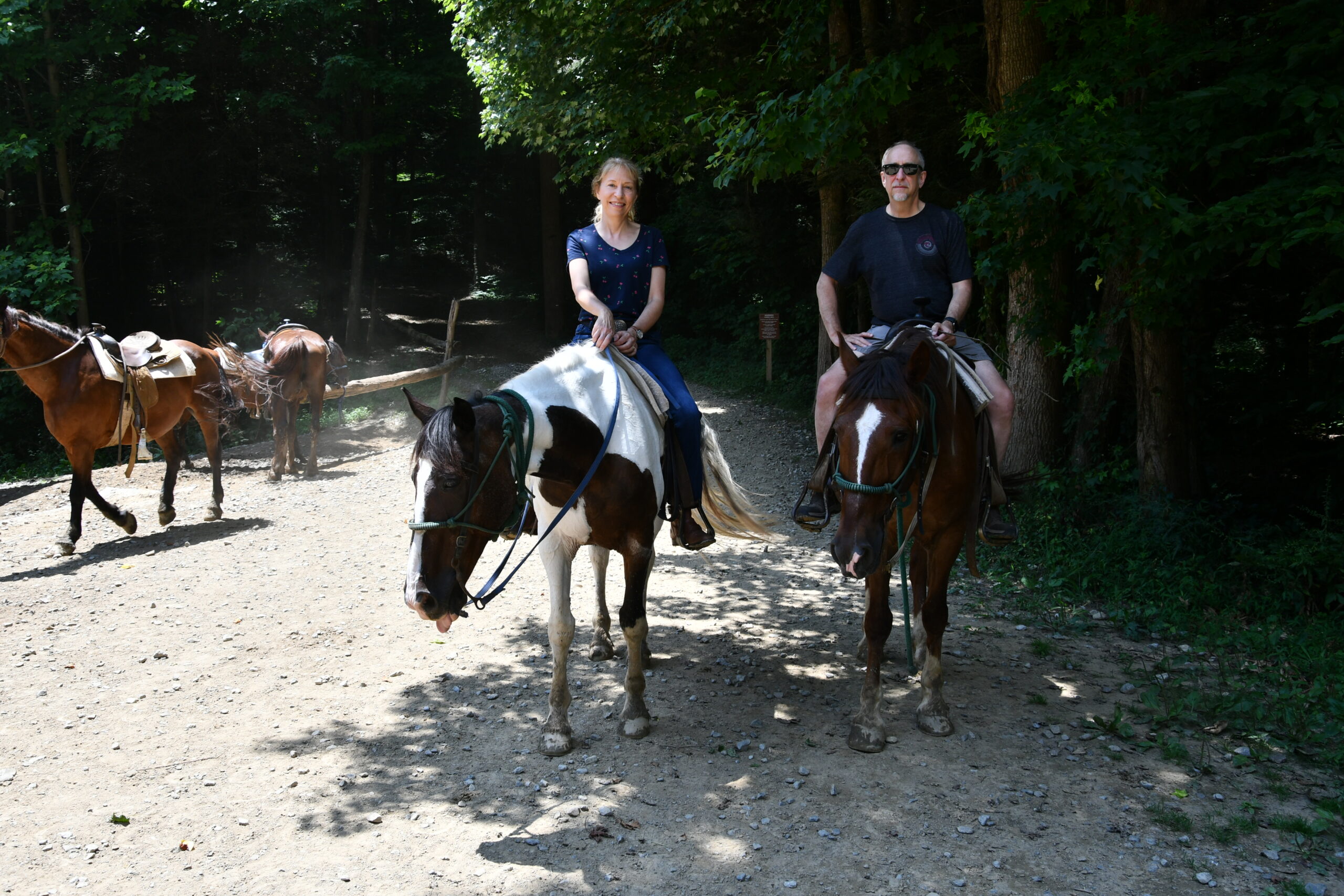 Smokey Mountain Sugarland Stables