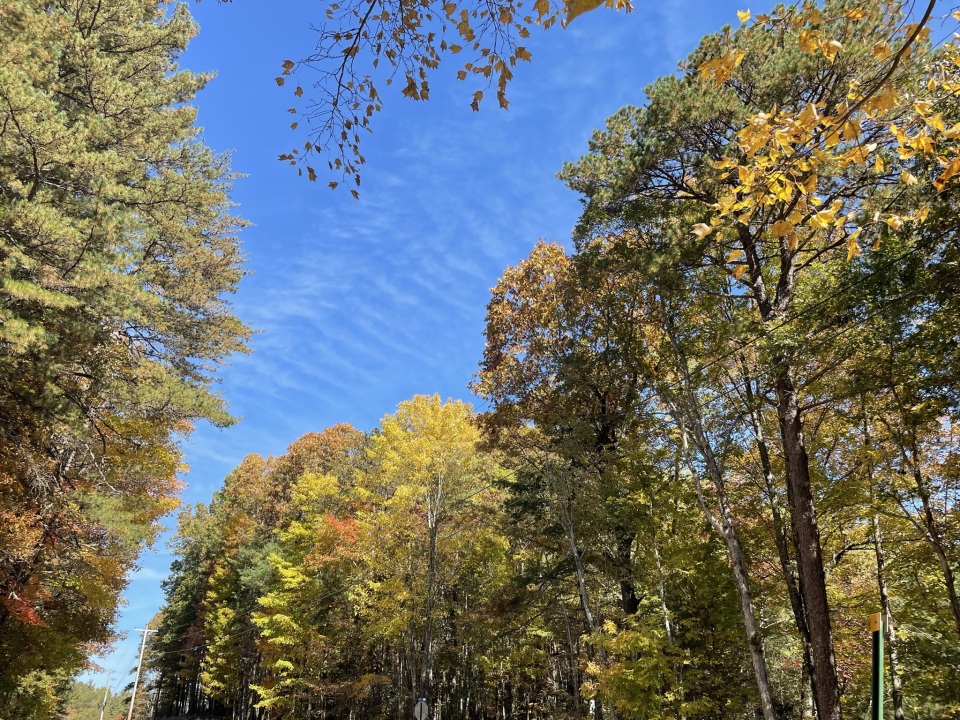 Blue Ridge Georgia Hiking