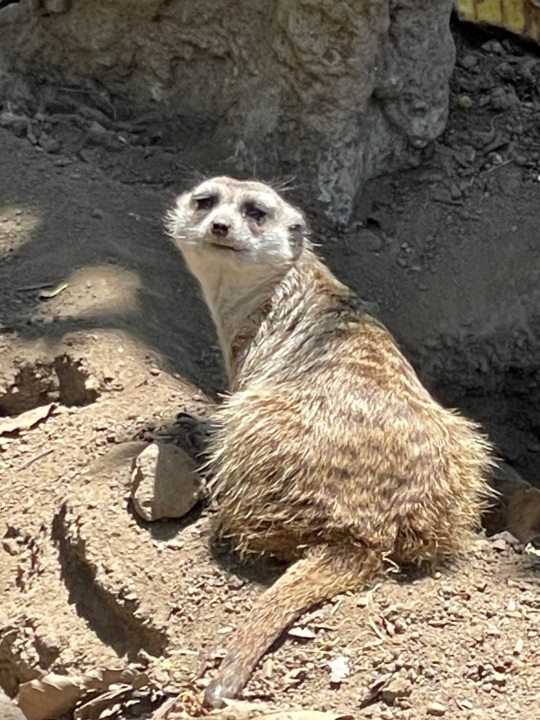 San Diego Zoo